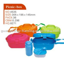 Plastic Picnic Box